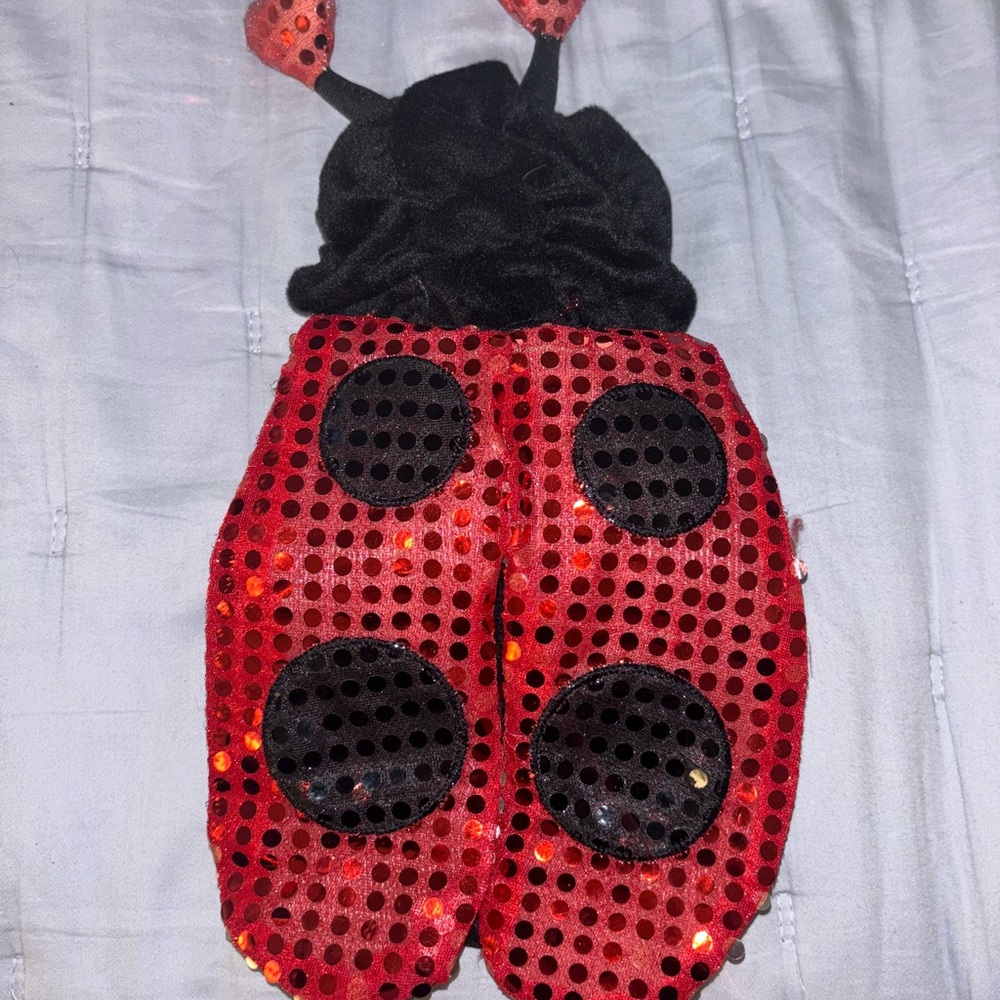 Ladybug dog Costume